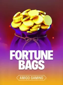 fortune bags